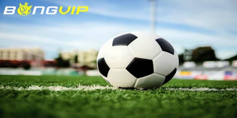 Nhà Cái Bongvip - Trang Trực Tuyến Đứng Đầu Thị Trường Cá Cược v